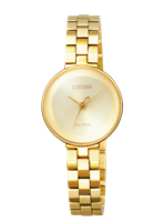 Watch Citizen in Steel EW5502-51P - EW5502-51P